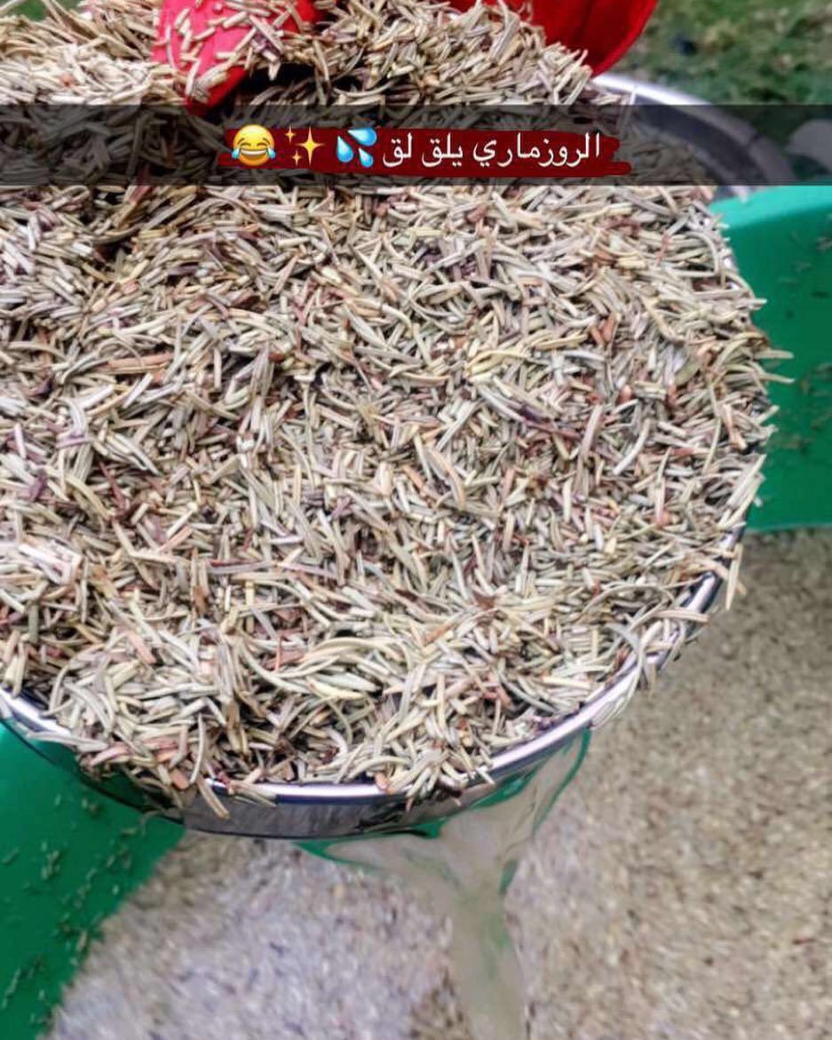 غسل الروزماري[اكليل الجبل] #اكليل_الجبل #روزماري #ايطالي #بهارات_ايطاليه #بابريكا #توابل #