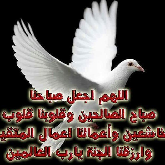 اللهم امين يارب العالمين
