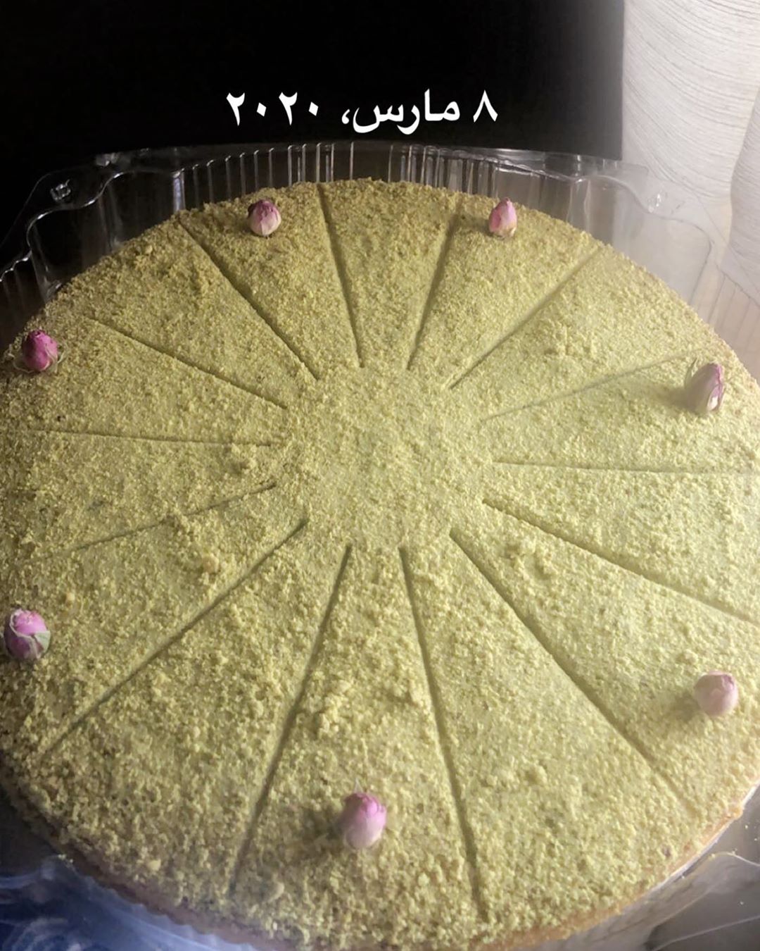 عروستنا هيا بسبوسة الفستق بحشوة القشطة الكريمية #بسبوسة#لوتس#بسبوسة_لوتس#بسبوسة_كنافة#بسبو