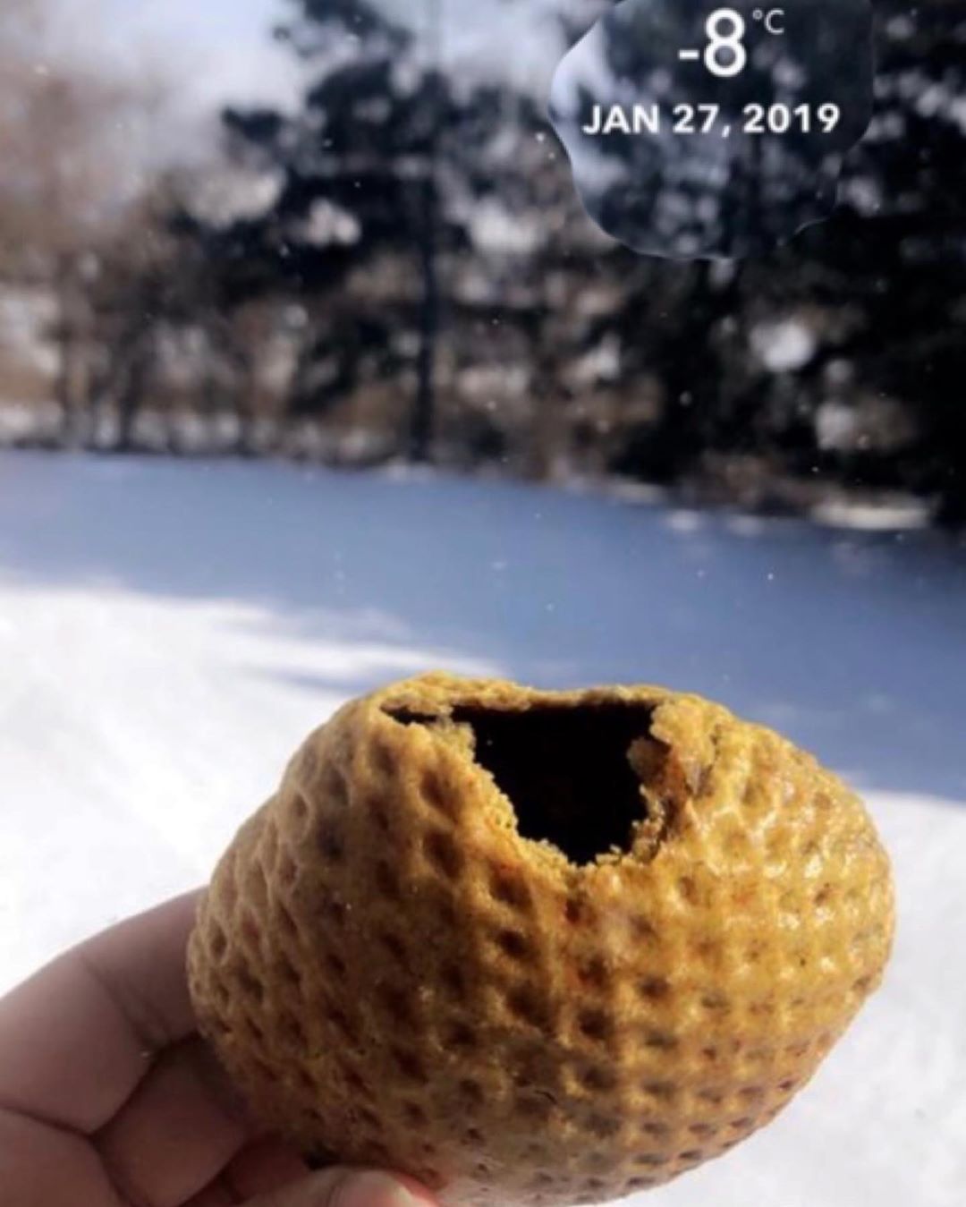 شوفوا مين حصلت رايح يسوي سكيتنج قبل سنة⛷☃️ ما اعرف وين ولا اعرف مين ارسلها .. اكتشفتها الي