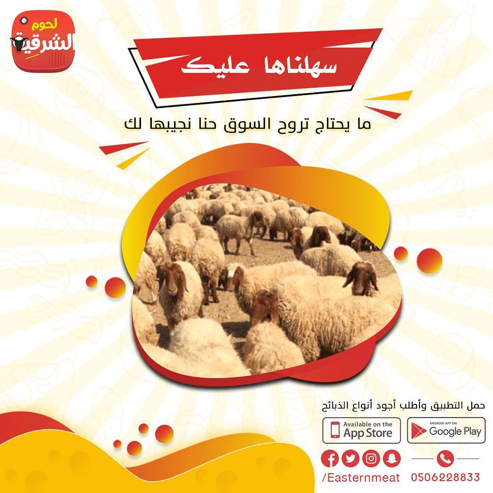 ماتروح هي تجيك!