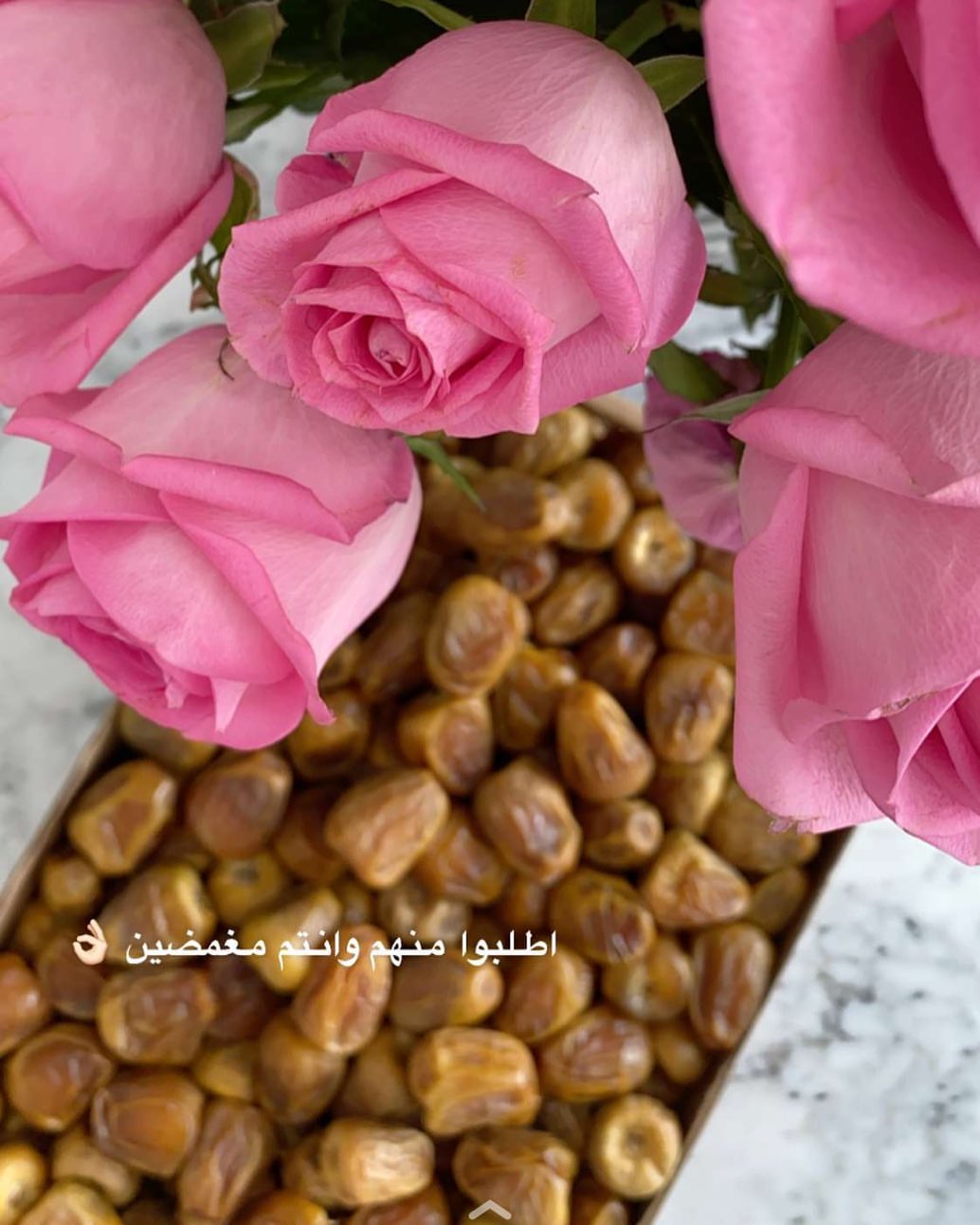 نشكر لكم ثقتكم ونتشرف بخدمتكم قطوف جدة