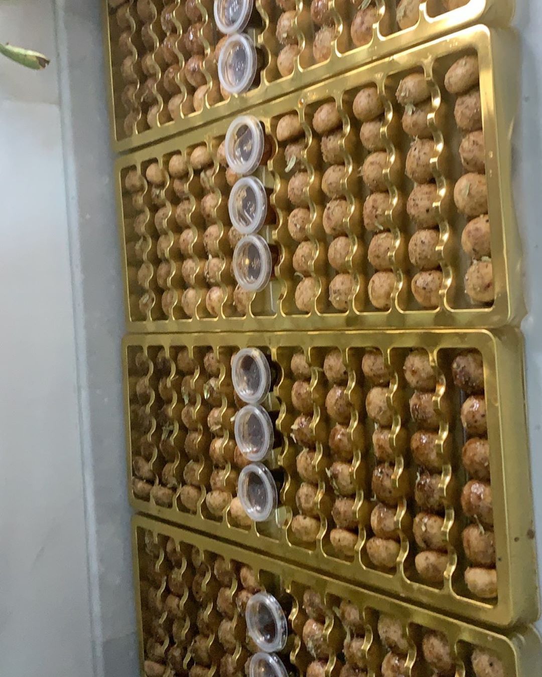 بسبوسة البيستاشيو