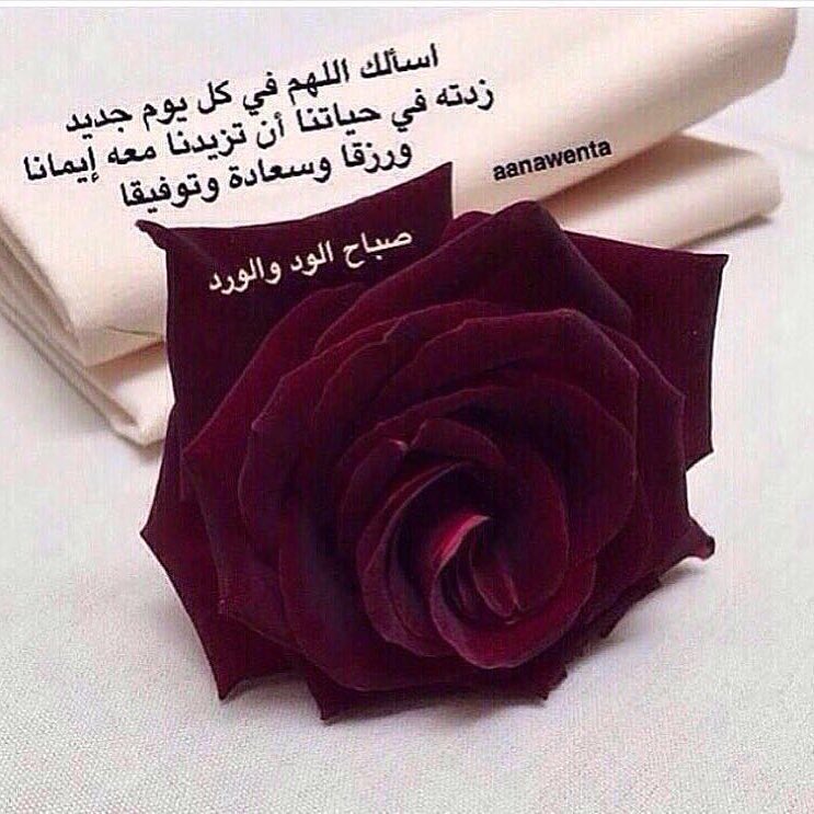 تصوير زبونتنا الحلوه