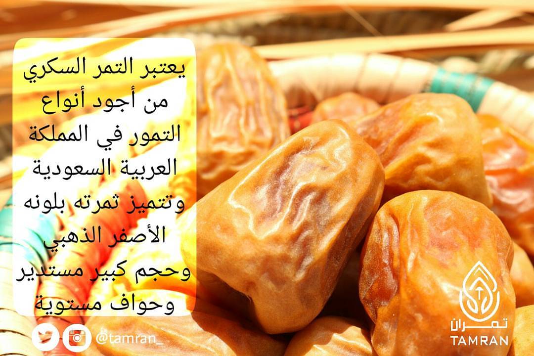 . . التمر السكري من اجود انواع التمور . #سكري_فاخر #سكري_تمران #التمر_السكري #سكري_القصيم
