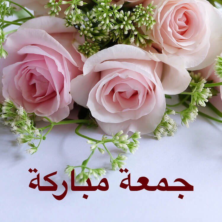 #حار #حراق #سبايسي #فلفل_حار #سمبل_بيتي #صلصات #صوص #طبخ #طبيخ #اكل #طباخات #فلفل #سمبل #ت