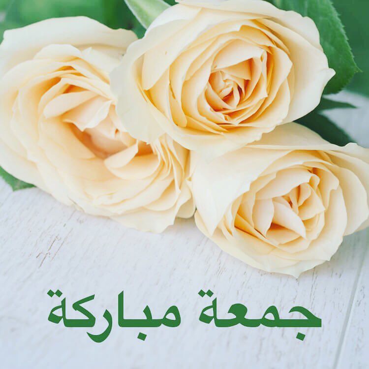 #حار #حراق #سبايسي #فلفل_حار #سمبل_بيتي #صلصات #صوص #طبخ #طبيخ #اكل #طباخات #فلفل #سمبل #ت