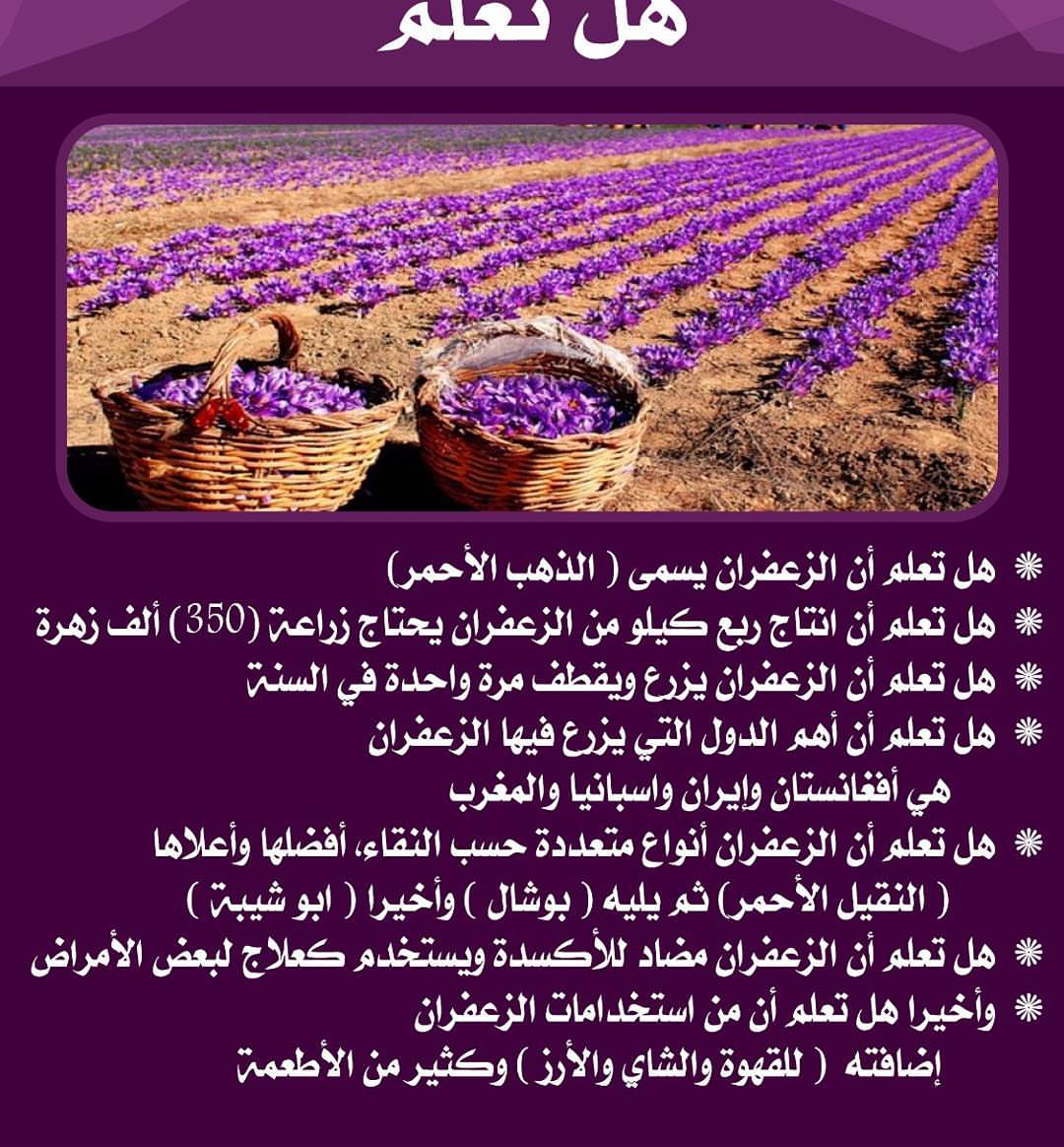 هل تعلم ؟؟