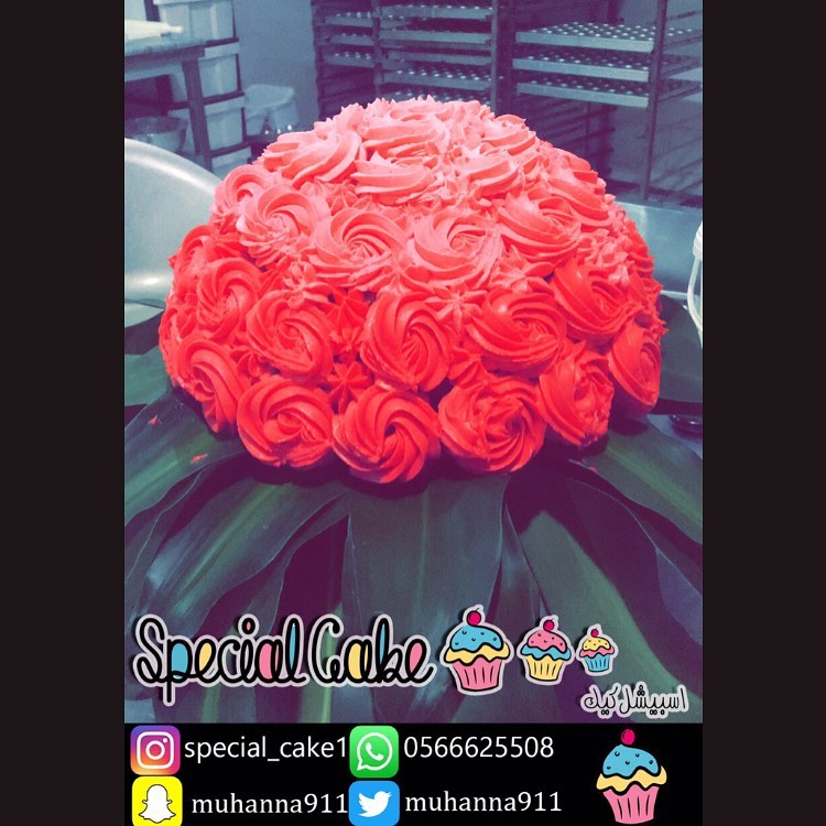 يوم بيوم طازه