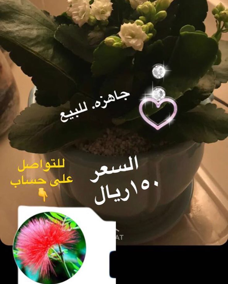 #ورود_هدايا_اوركيدا_بوكيه_صناديق_ #ورود #زهور #تنسيق
