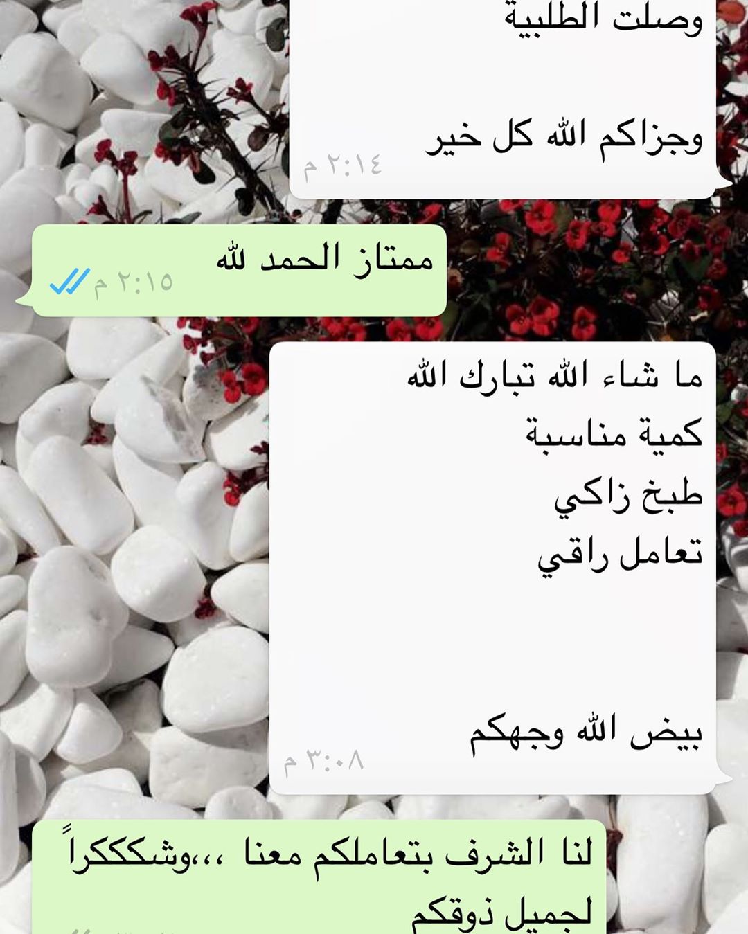 رأي