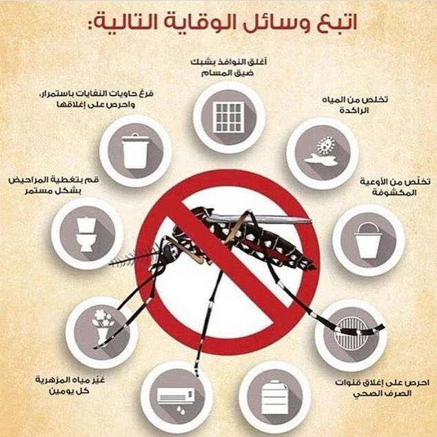 :: حمى الضنك هي عدوى فيروسية ينقلها البعوض. تؤدي العدوى إلى مرض شبيه بالإنفلونزا، ويتفاقم