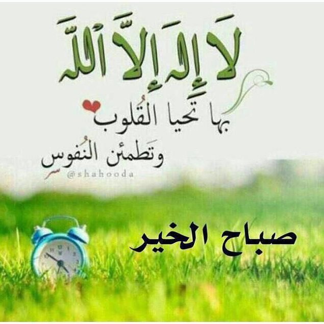 مايروقنا الا كملووز