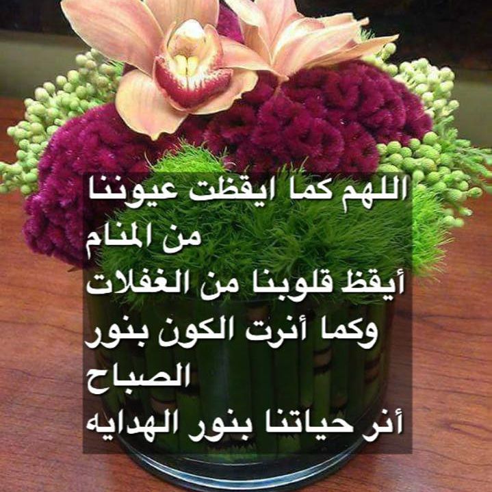 صباحكم كل خير