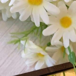 #العيد #شوكولاته #ترافلز #صواني_ العيد