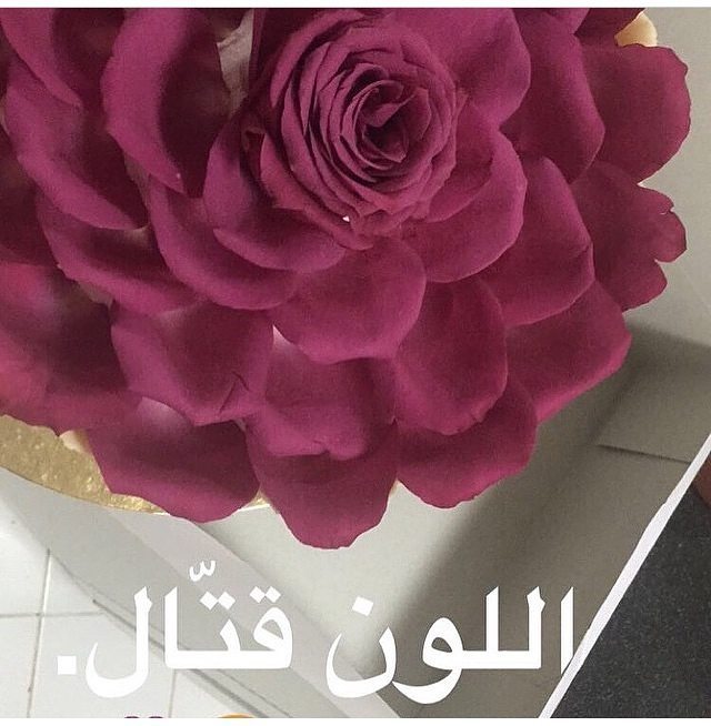 جاهز للتسليم بسعر 180 #