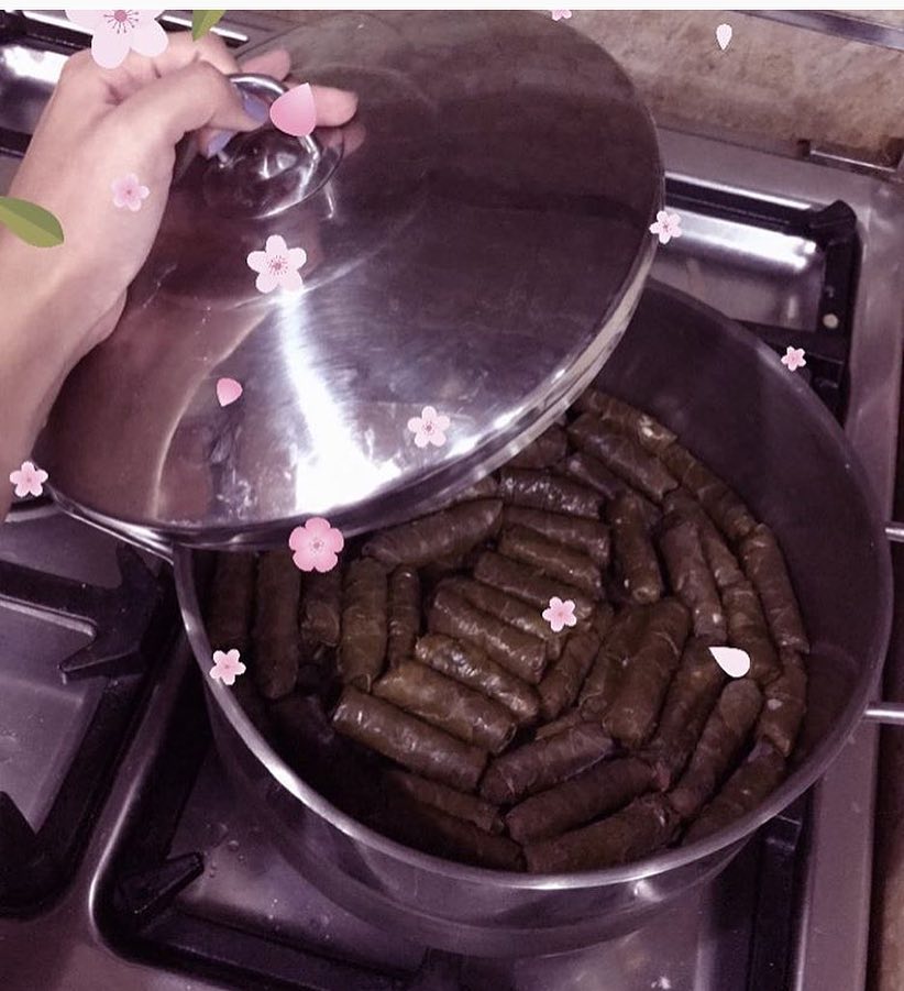 بالعافية عليكم ##ورق_عنب #ورق_عنب_بالحامض_ودبس_الرمان #تصوير #لذييذ