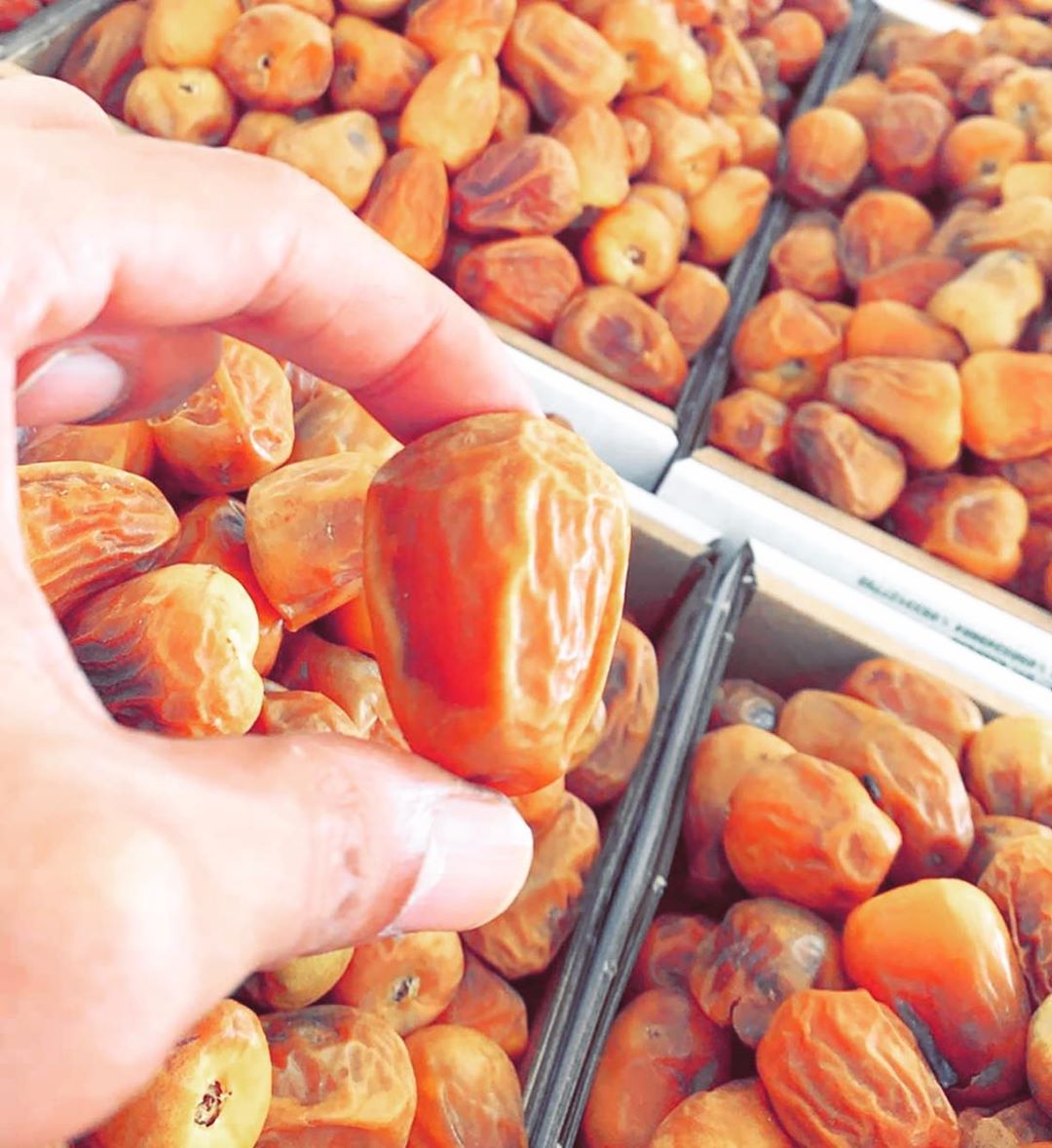 #سكري_القصيم_ملكي #jana_dates
