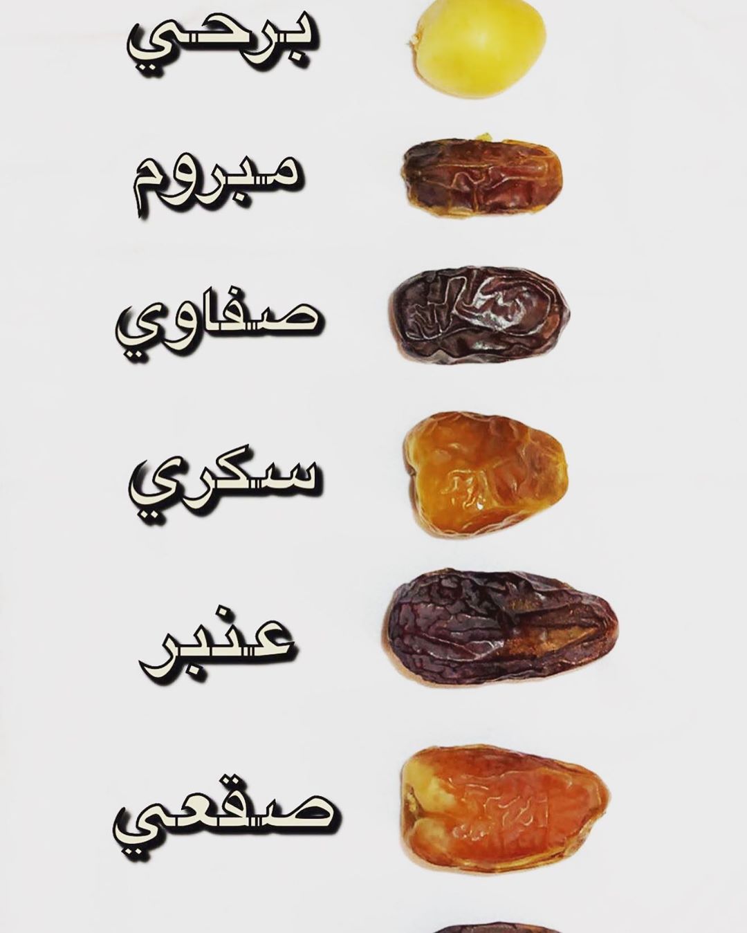 نستخدم أفضل وأجود أنواع #التمر #السكري الفاخر من #القصيم مباشرة #jana_dates