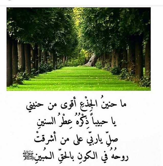 اللهم صلّ وسلم على رسول الله