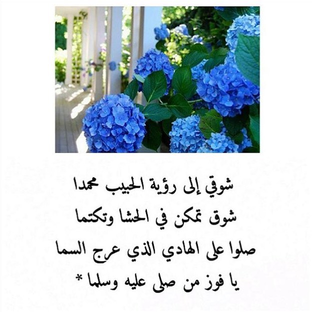 اللهم صلّ وسلّم وبارك على نبينا محمدوآله وصحبه أجمعين