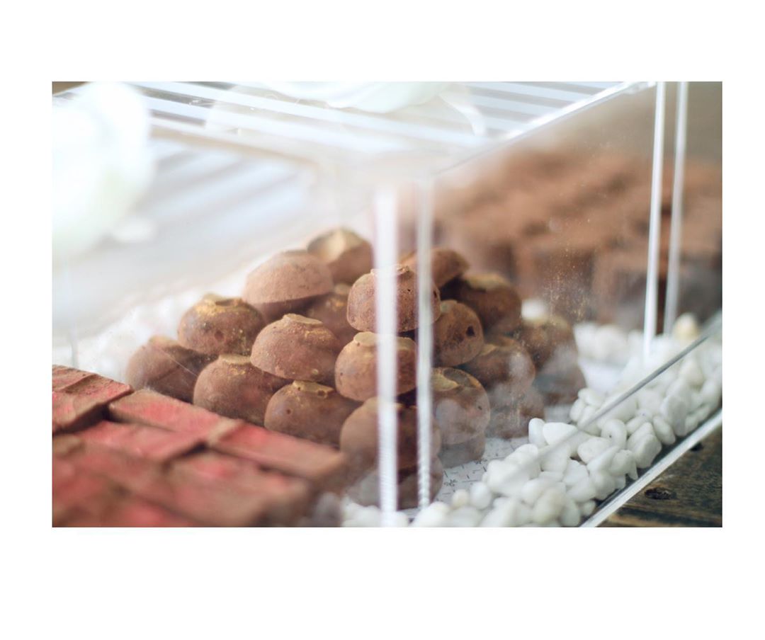 . • Salted Hazelnut Truffle • Truffle with special crunch and a bunch of sea salt .. it’s