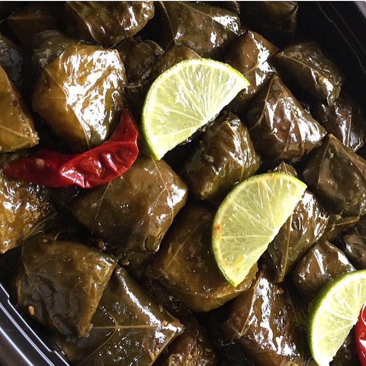 كبيبا حائل متوفر للطلب