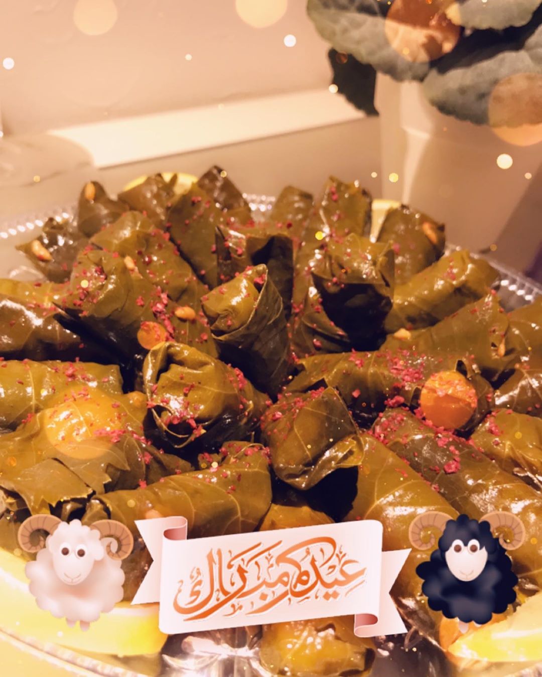 #ورق_عنب#الدمام#الخبر#الظهران#الجبيل#عيدكم_مبارك #تصويري#شغلي