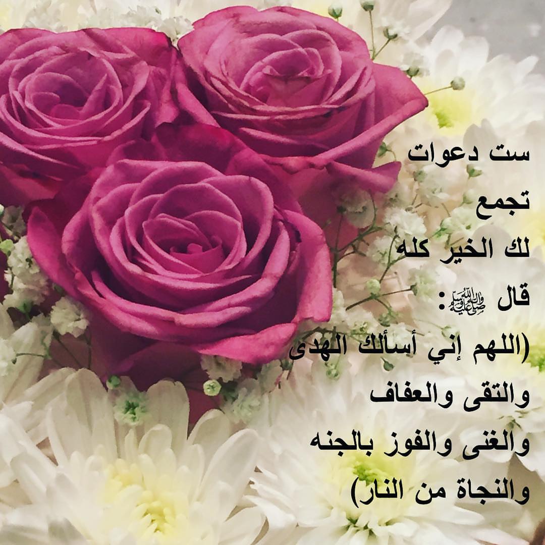 ،‏ ست دعوات تجمع لك الخير كله ‏ ‏قال ﷺ :《اللهم إني أسألك الهدى، والتقى، والعفاف ،والغنى و