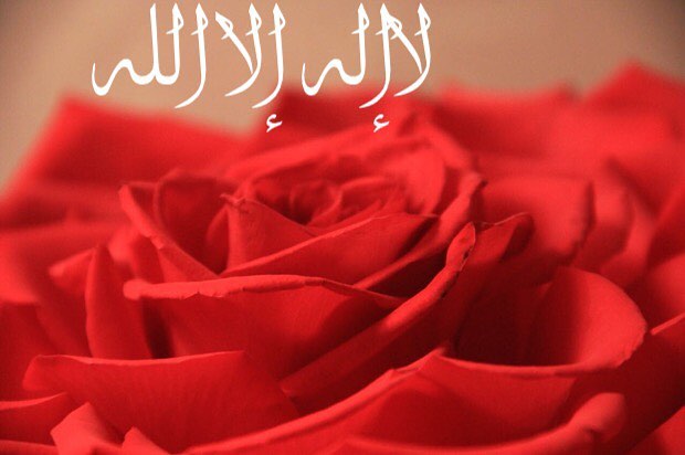 ، محمد رسول الله .. اللهم صلِ على محمد وعلى آل محمد كما صليت على ابراهيم وعلى آل إبراهيم إ