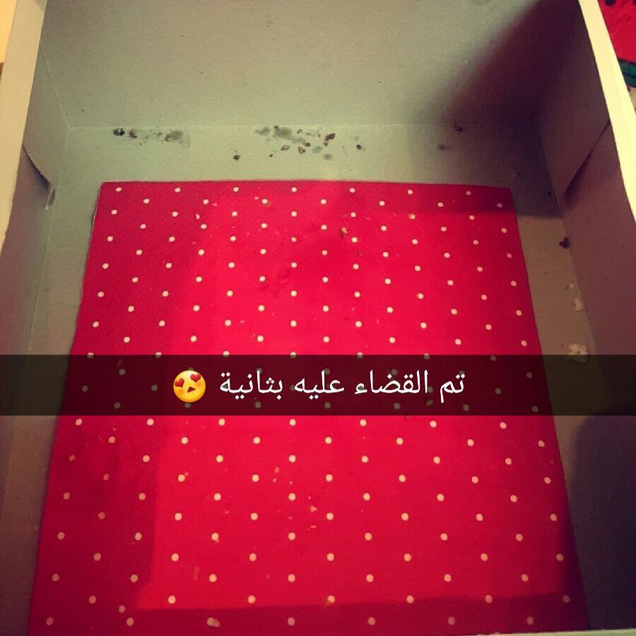 ماشاء الله بارك الله عوافي #تصوير_جميلتي