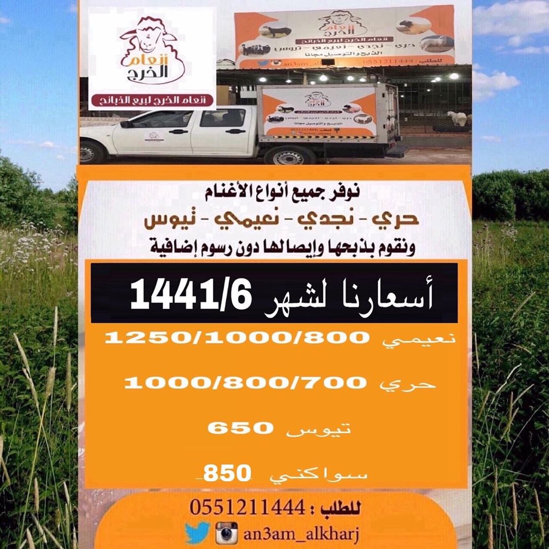 انعام الخرج للذبائح نوفر لكم جميع انواع الذبائح وبأسعار مناسبه بالاضافة إلى خدمة الذبح وال