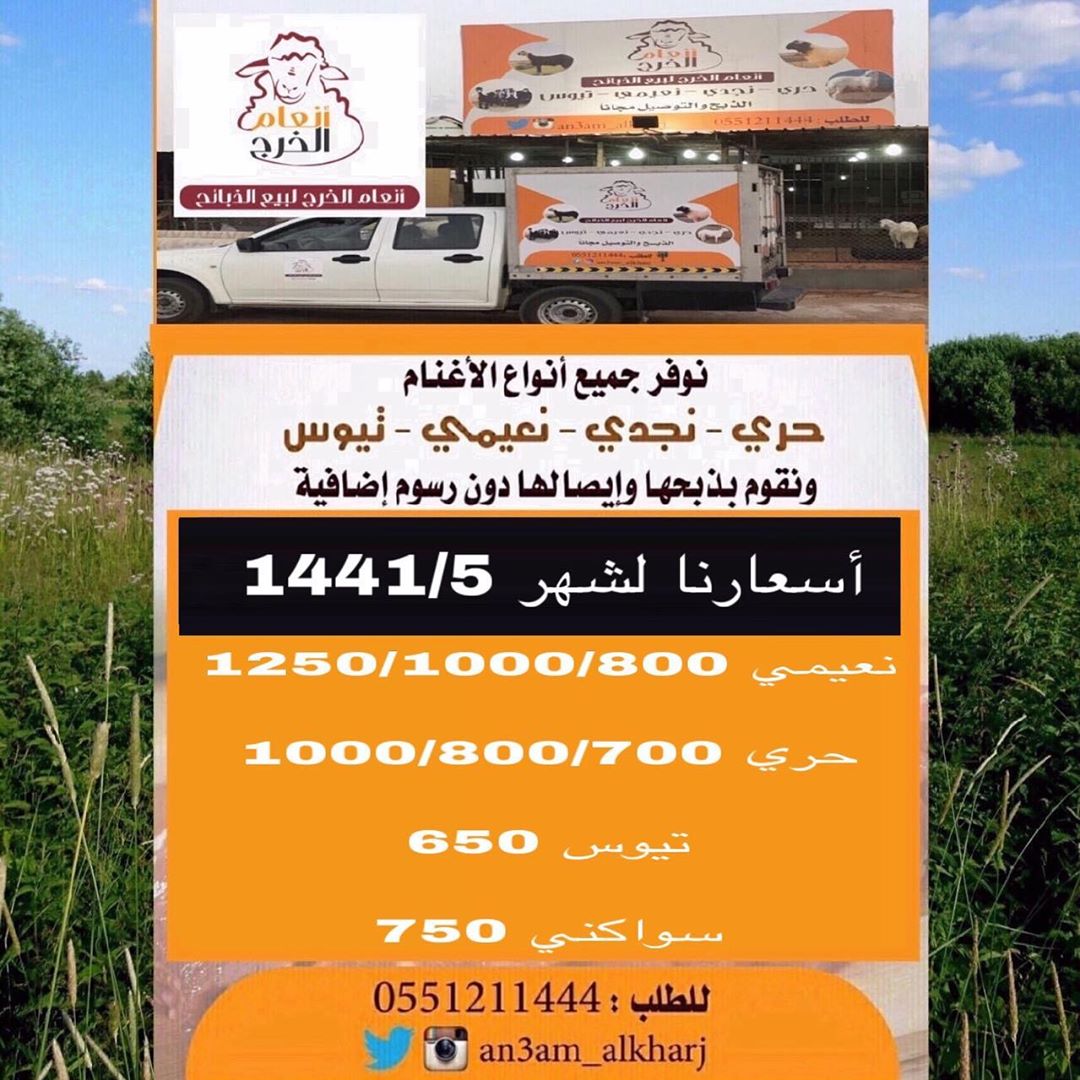 انعام الخرج للذبائح نوفر لكم جميع انواع الذبائح وبأسعار مناسبه بالاضافة إلى خدمة الذبح وال
