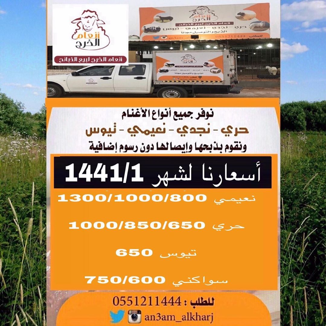 انعام الخرج للذبائح نوفر لكم جميع انواع الذبائح وبأسعار مناسبه بالاضافة إلى خدمة الذبح وال