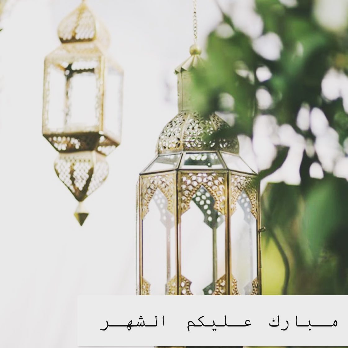 أبارك لكم حلول شهر رمضان المبارك وأسأل الله ان يجعله شهراً تنشرح فيه الصدور وتطمئن فيه الق