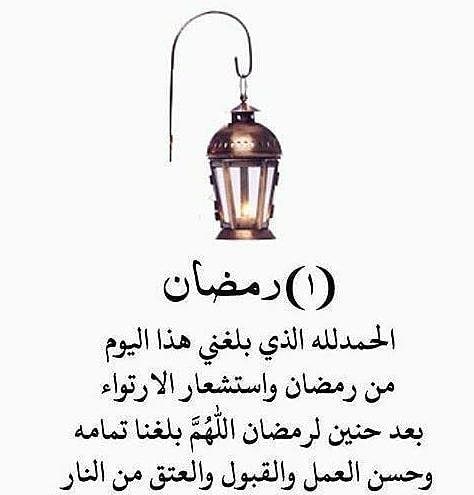 لا تتأخروا بالطلب عشان نقدر نوفر لكم الكمية في الظروف اللي عايشينها ، الطلب بالكيلو بس . .