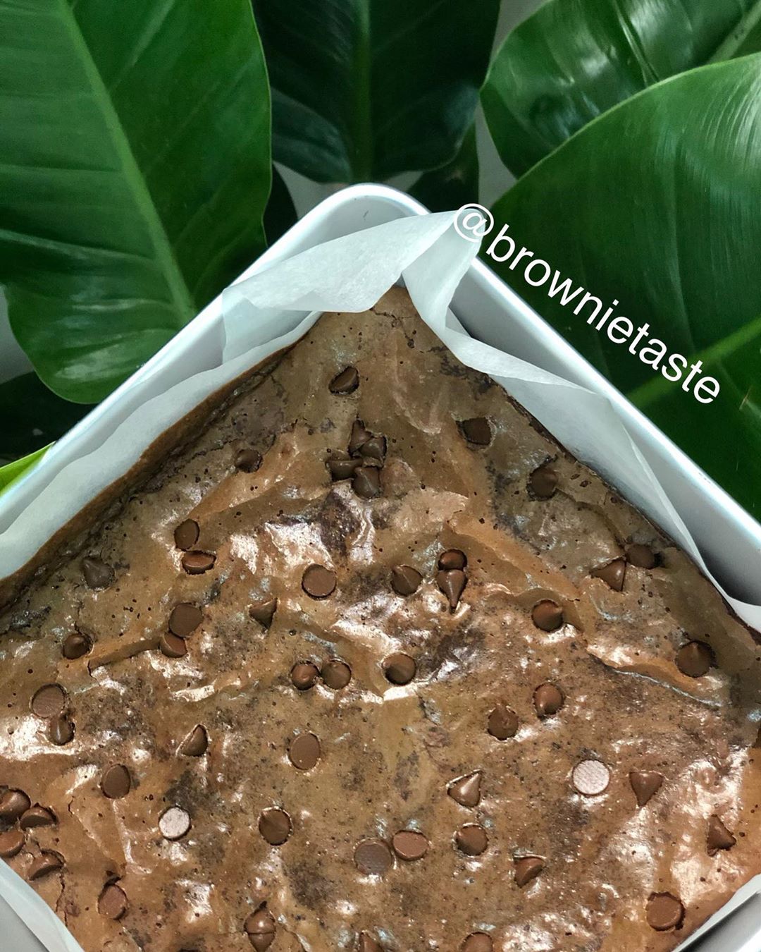 متوفر تسليم فوري #brownie #brownietaste