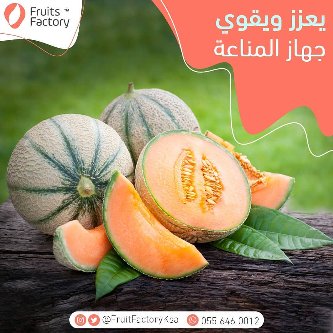 ‏الشمام من الفواكه اللذيذة وله رائحة مميزة وطعم رائع ‎#فروتس_فاكتوري