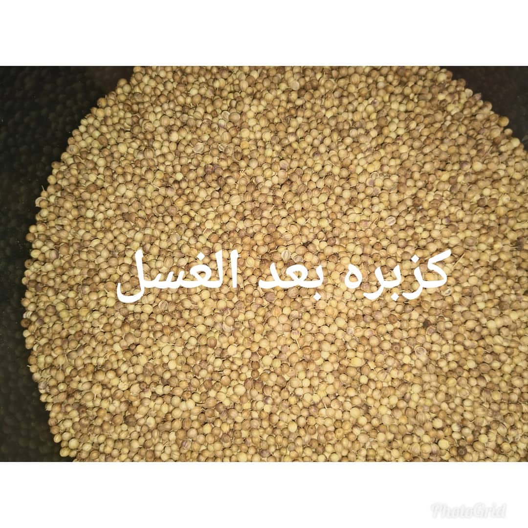 2273766306891558611_