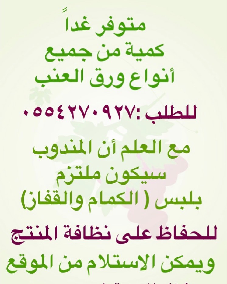 *الطلب قبل بيوم #ورق_عنب #حديقة_العنب #ورق_عنب_لذيذ #ورق_عنب_سبايسي #لذيذ #ورق_العنب #ورق_