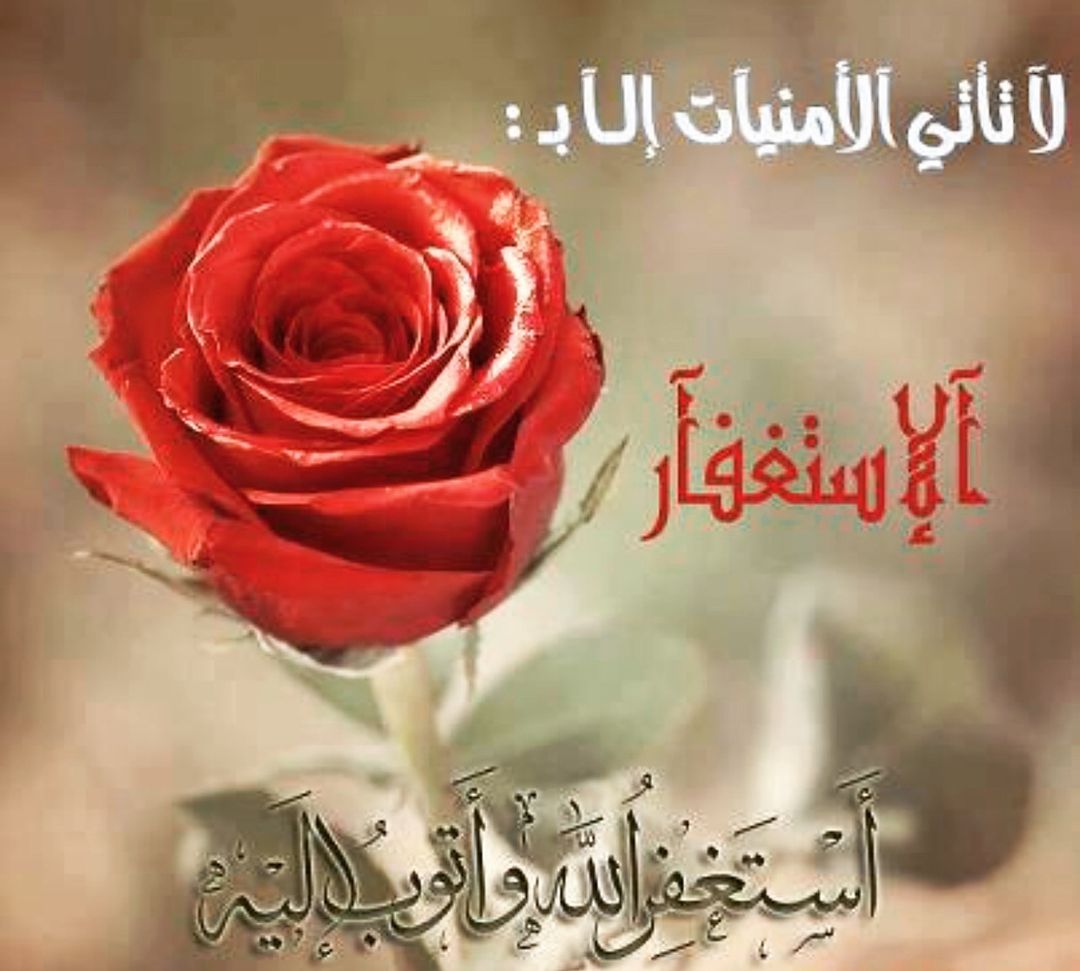 996beb370ef21ea2d07dd87f248ab03c