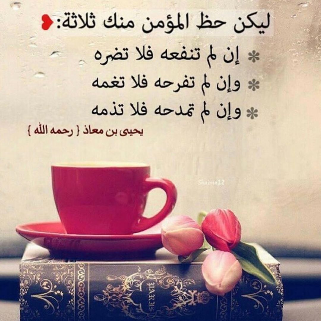 abdbe ea453ac907c665f6f7e