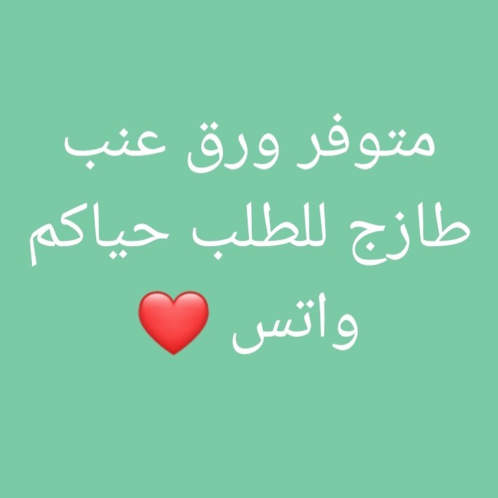 08809e cefd190c5c530e67500