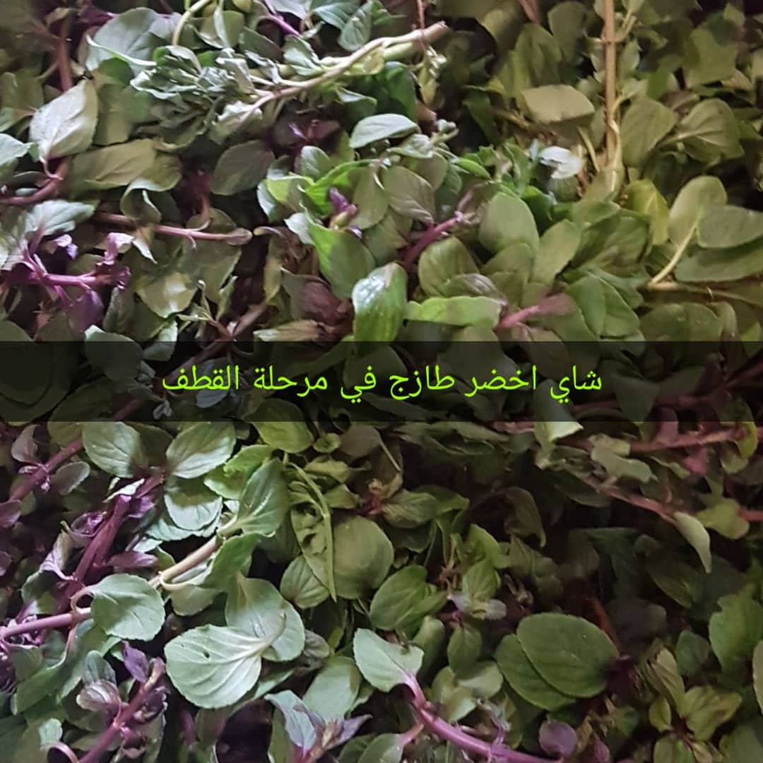 #بهارات#ابازير#بهارات_منظفة_ومغسوله#طبخ #برياني#كبسة#ايدام#نكهة#بدون_حلبة#أجبان #خلطات_زيت