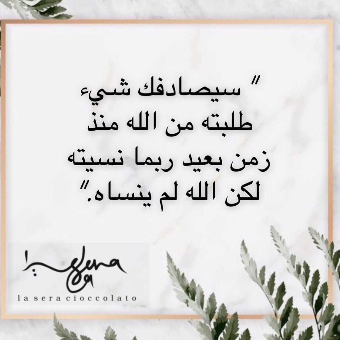 محمد الشعراوي
