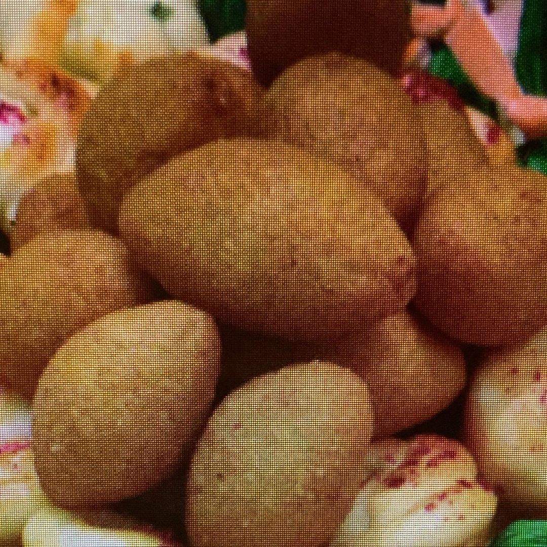 كبه