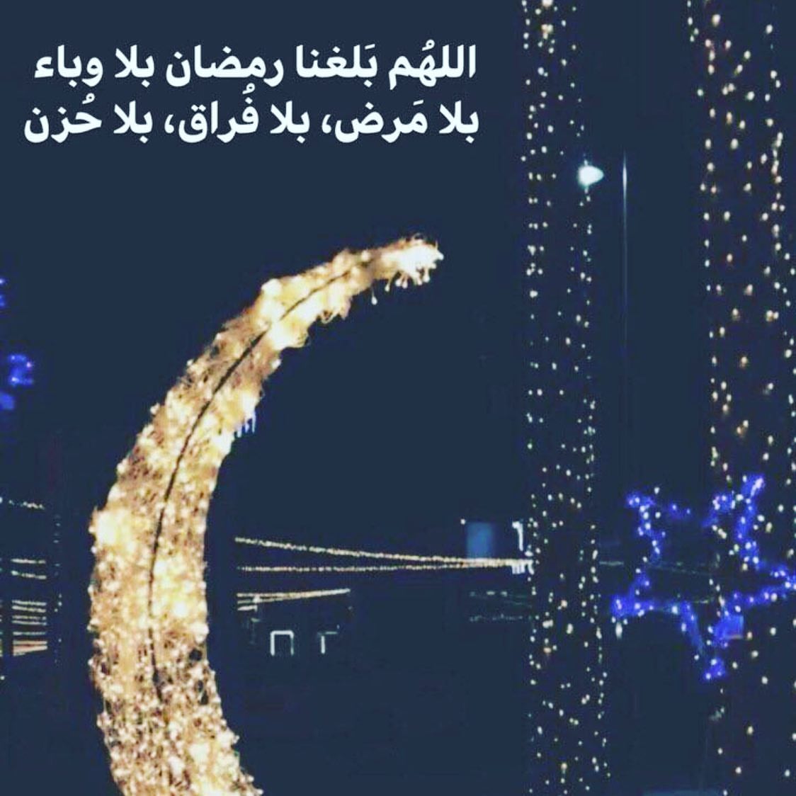 2291570846312270057_