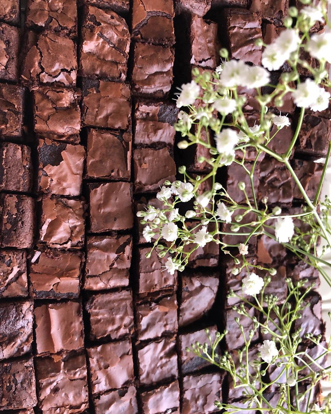Brownie Bites . . . . . #homebakedwithlove #brownies #jeddah #chocolatebites #bitesofheave