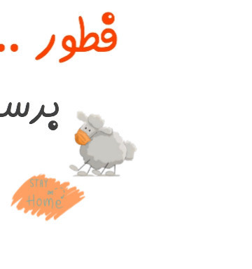 #lamb_shoulder #lambshoulder #الرياض #Riyadh #كتف_خروف #كتف_خروف_مشوي #Shoulder_roast_lamb