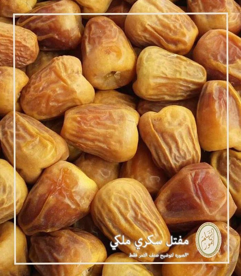 #مفتل#سكري#ملكي